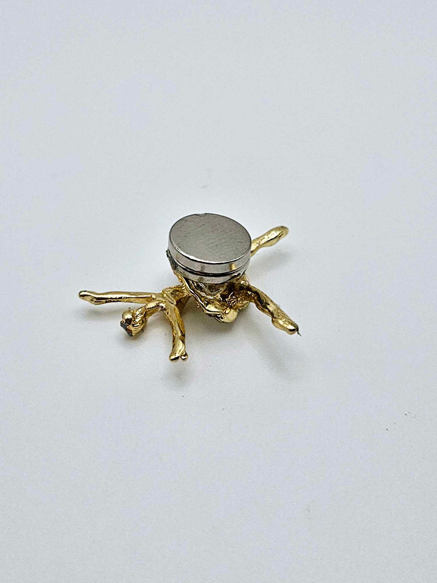 Pretty Ballerina Coverminder