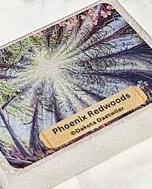 "Phoenix Redwoods" By ©Dakota Daetwiler Limited Edition Coverminder
