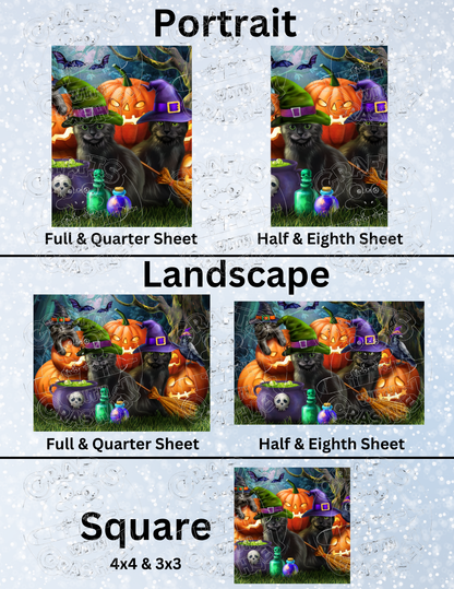 Product Bundle "Halloween Cats" by ©Tom Wood