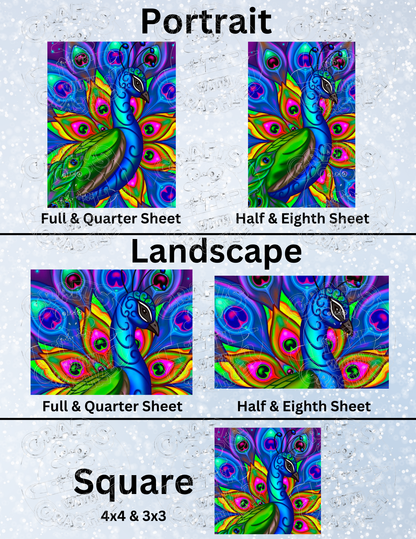 Product Bundle "Mandala Peacock" ©Emma Casey
