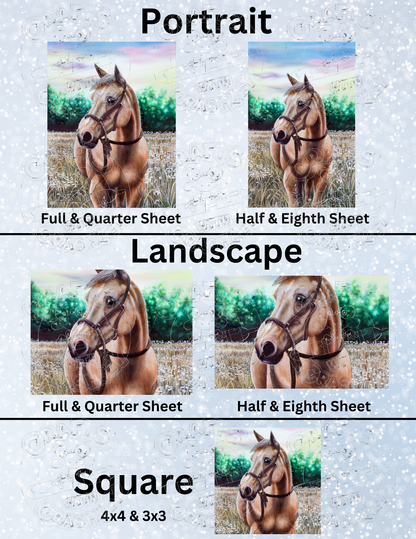 Product Bundle "Lilly" by ©Dakota Daetwiler