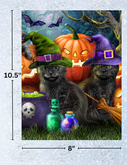 Product Bundle "Halloween Cats" by ©Tom Wood
