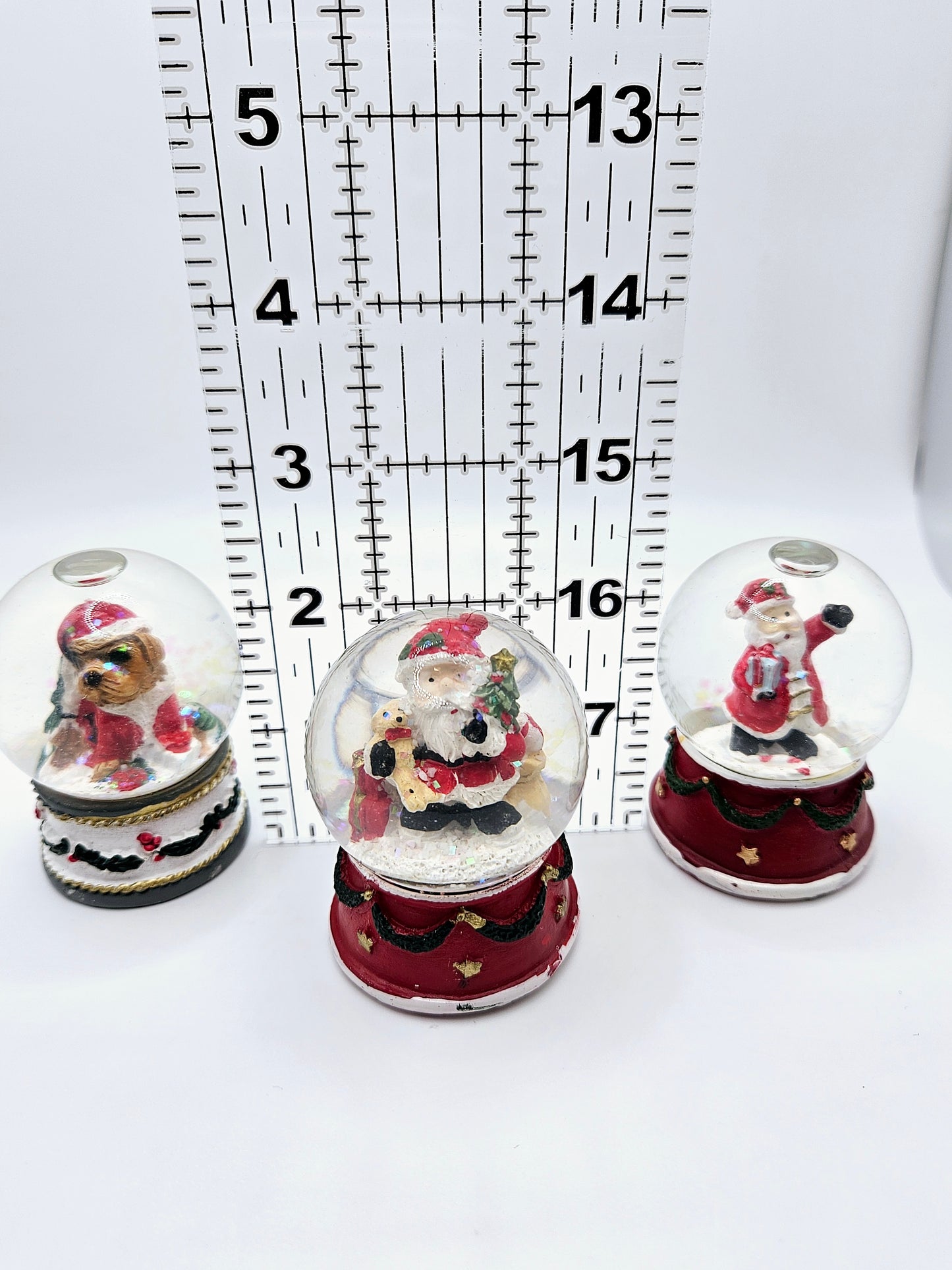 Santa Snow Globe Coverminders