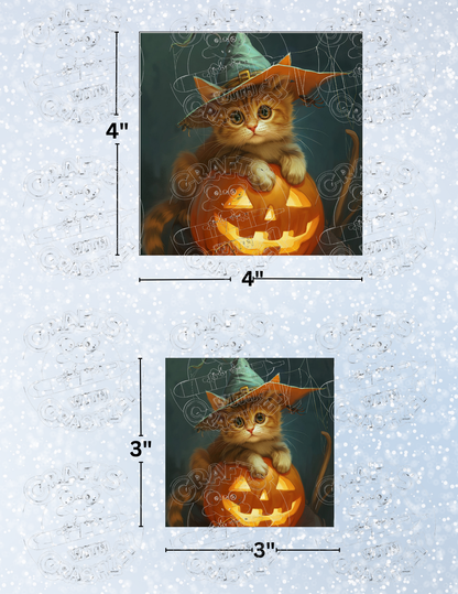 Product Bundle "Kitten on a Jack-O-Lantern" by ©Auclair Studio