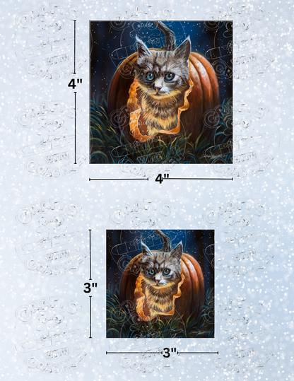 Product Bundle "Hungry Halloween Kitten" by ©Dakota Daetwiler