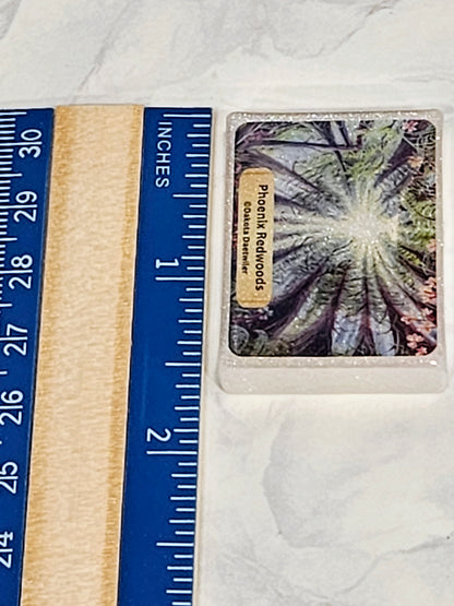 "Phoenix Redwoods" By ©Dakota Daetwiler Limited Edition Coverminder