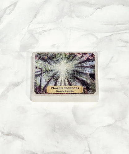 "Phoenix Redwoods" By ©Dakota Daetwiler Limited Edition Coverminder
