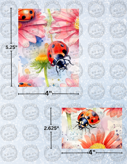 "Crashley's Worst Nightmare" Decorative Diamond Painting Release Paper