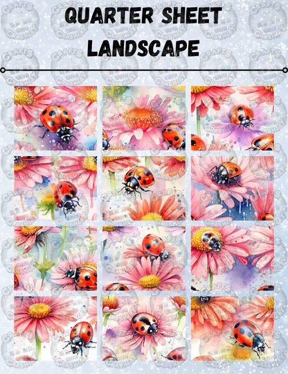 "Crashley's Worst Nightmare" Decorative Diamond Painting Release Paper